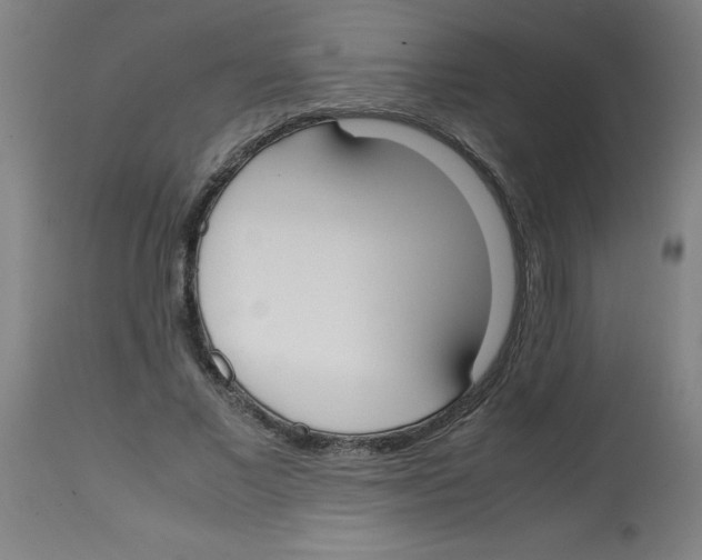 X0000113850685200910221419