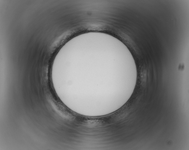 X0000113850686200910221419