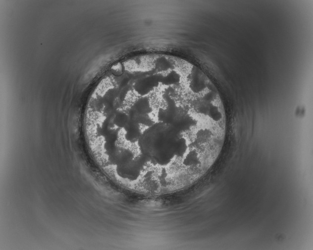 X0000113850687200910221419