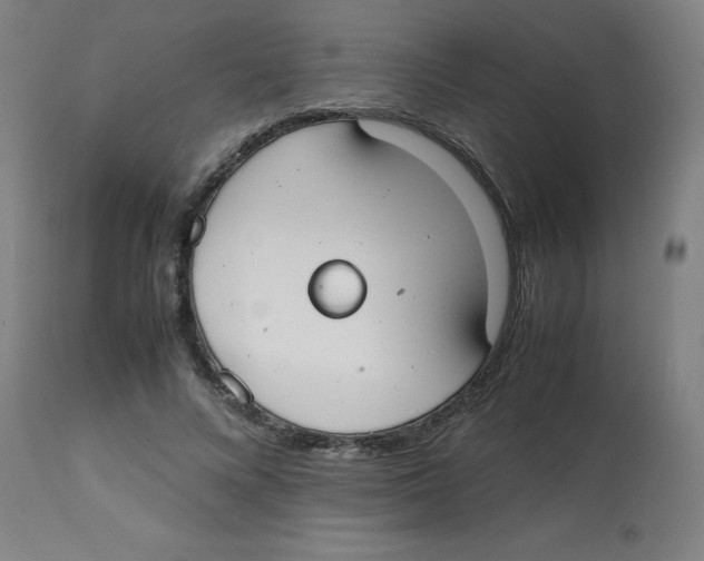 X0000113850688200910221419