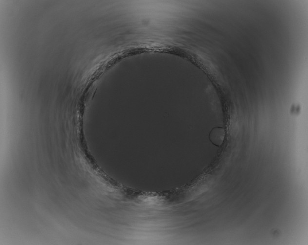 X0000113850689200910221419