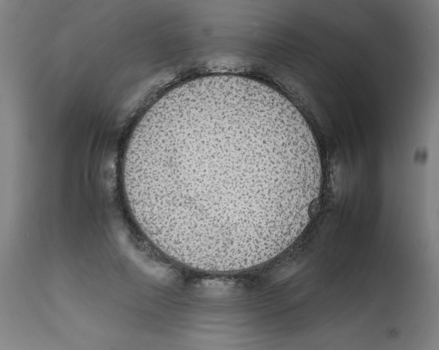 X0000113850690200910221419