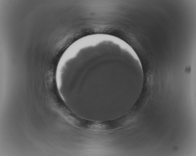 X0000113850691200910221419