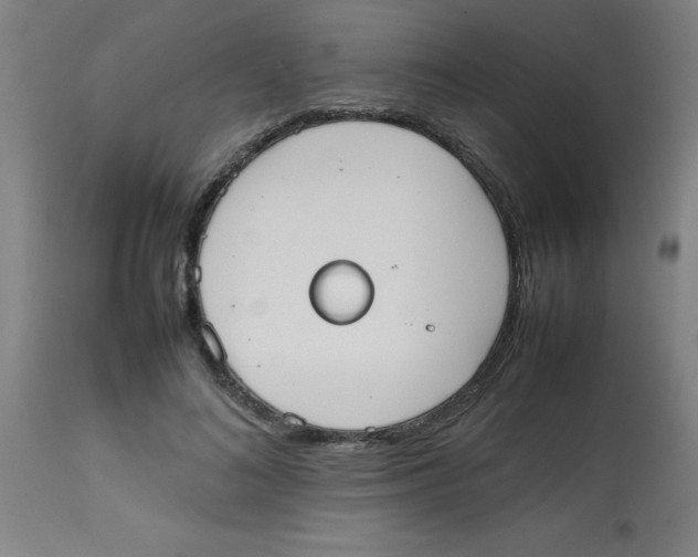 X0000113850692200910221419