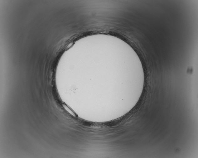 X0000113850693200910221419