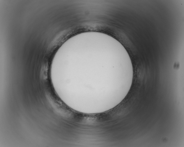 X0000113850694200910221419