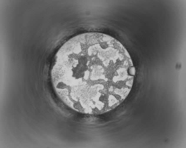 X0000113850695200910221419