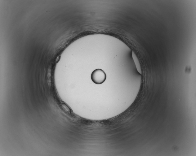 X0000113850696200910221419