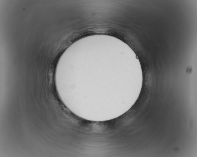 X0000113850697200910221419