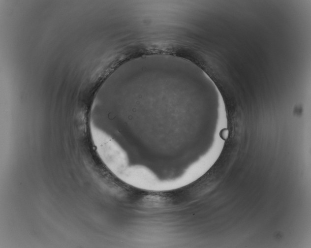 X0000113850699200910221419