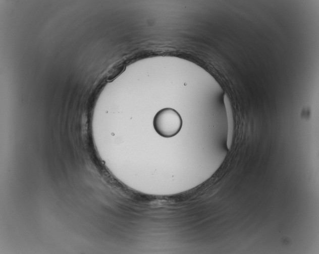 X0000113850700200910221419