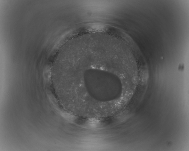 X0000113850701200910221419