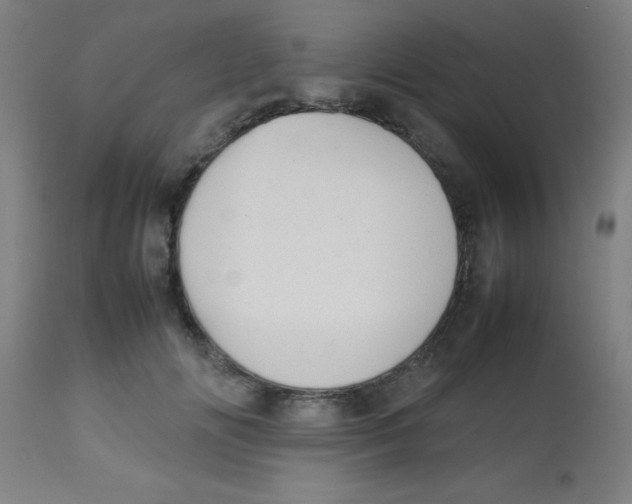 X0000113850702200910221419