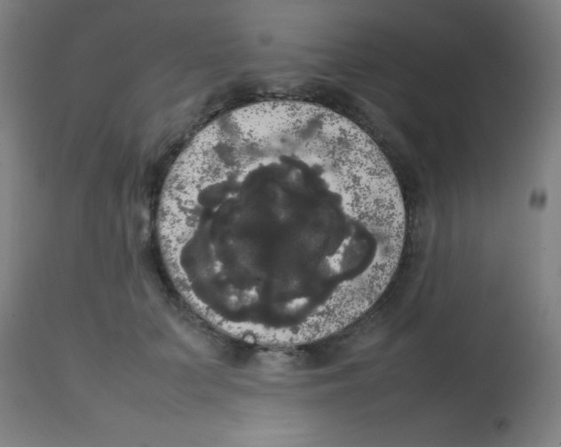 X0000113850703200910221419