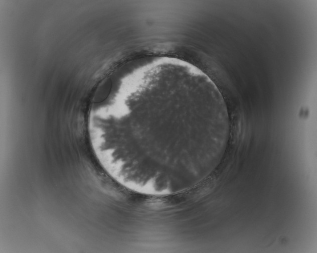 X0000113850704200910221419