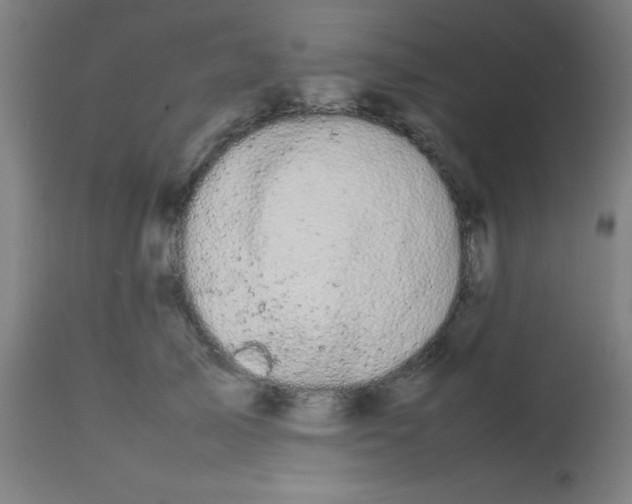 X0000113850705200910221419