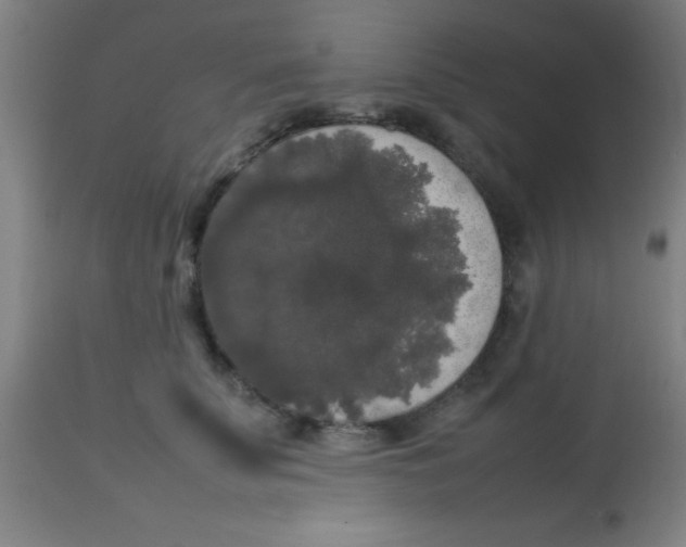 X0000113850707200910221419