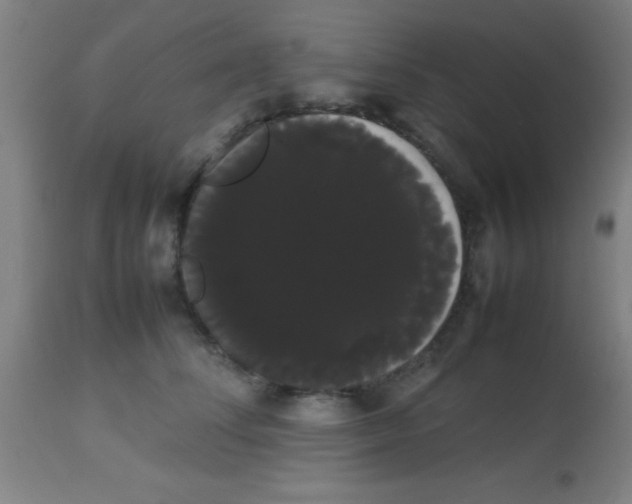 X0000113850708200910221419