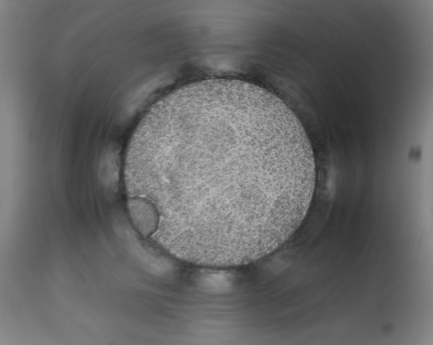 X0000113850710200910221419