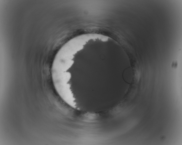 X0000113850711200910221419