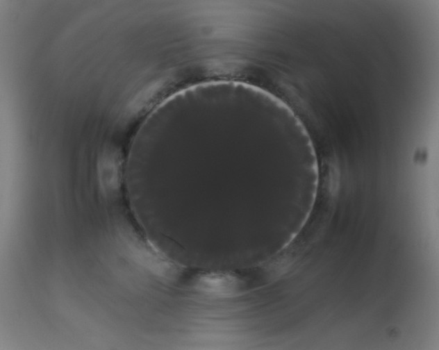 X0000113850712200910221419