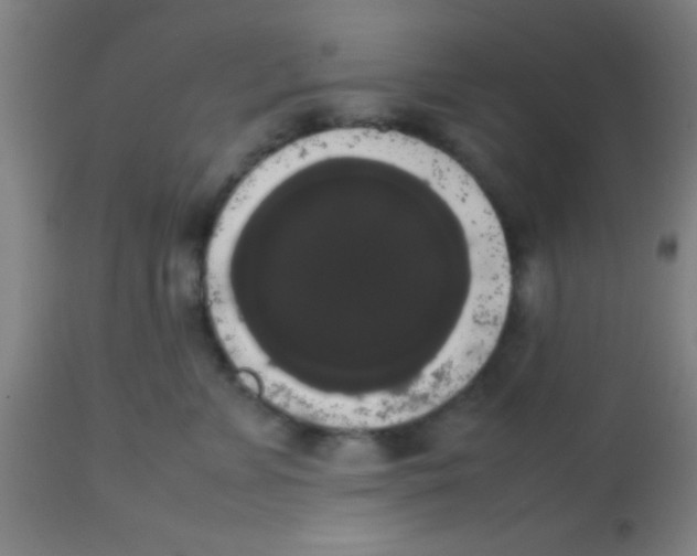 X0000113850715200910221419