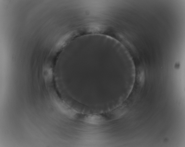 X0000113850716200910221419