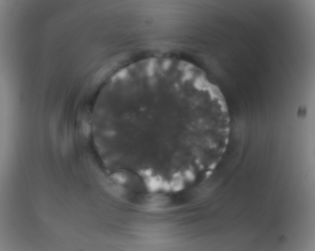 X0000113850719200910221419