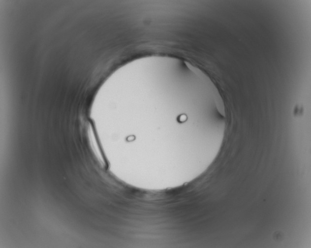 X0000113850720200910221419