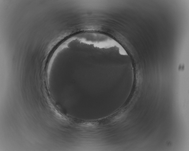 X0000113850721200910221418