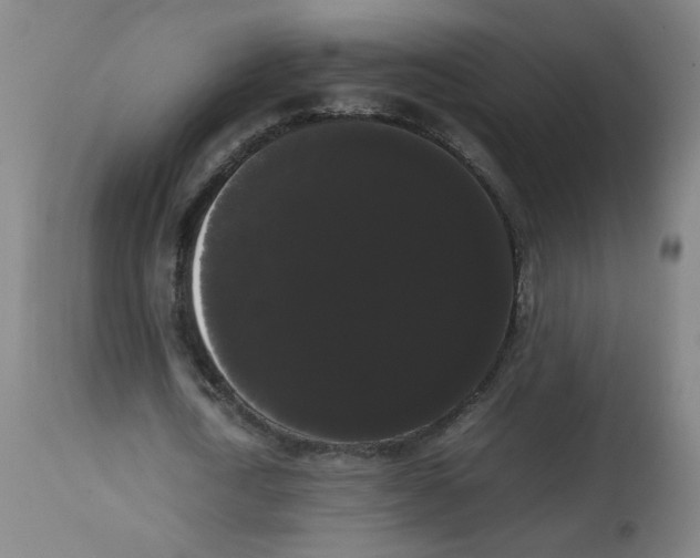 X0000113850722200910221418