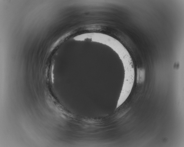 X0000113850723200910221418