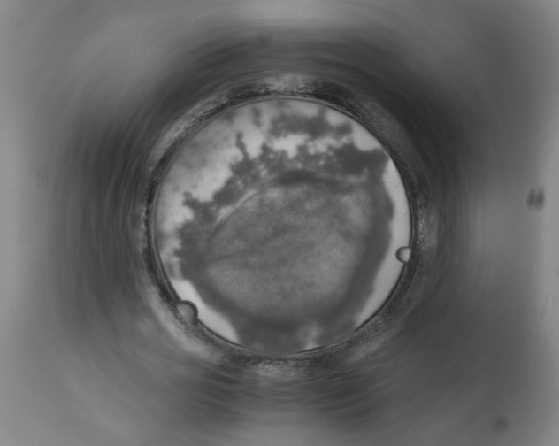 X0000113850725200910221418