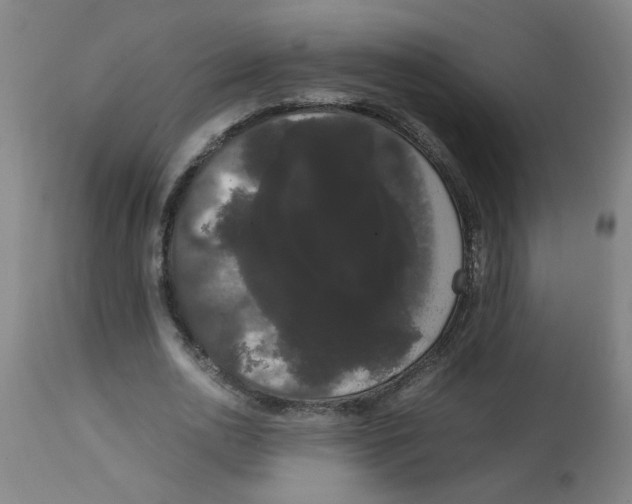 X0000113850726200910221418