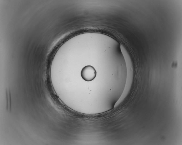 X0000113850728200910221418