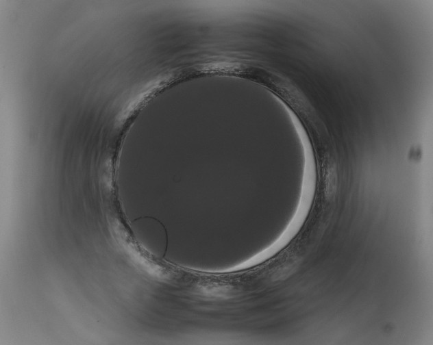 X0000113850729200910221418