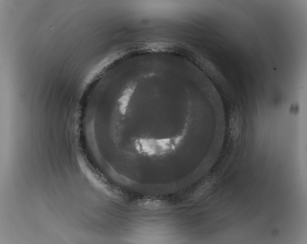 X0000113850730200910221418