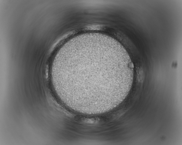 X0000113850731200910221418