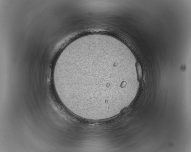 X0000113850732200910221418