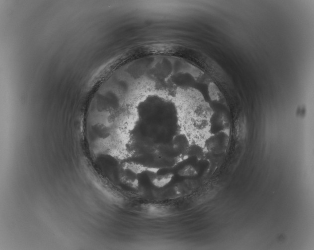 X0000113850733200910221418