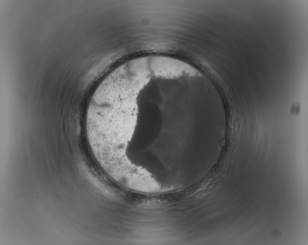 X0000113850734200910221418