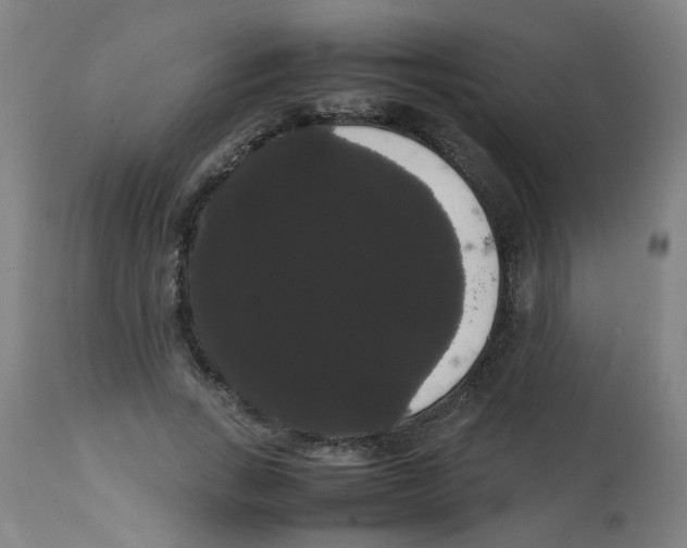 X0000113850735200910221418