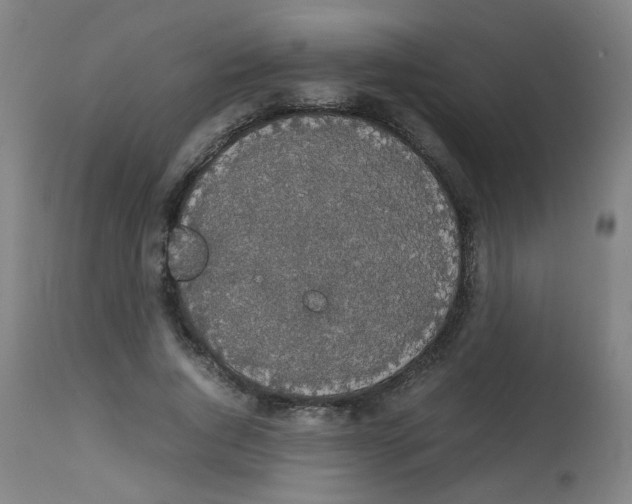 X0000113850736200910221418