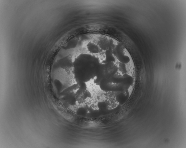 X0000113850737200910221418