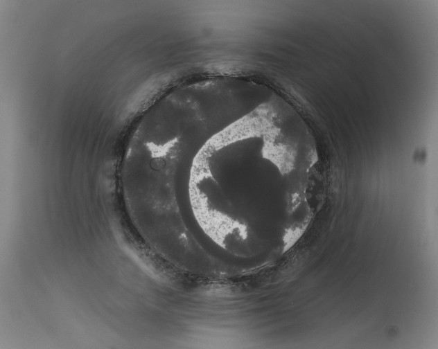 X0000113850738200910221418