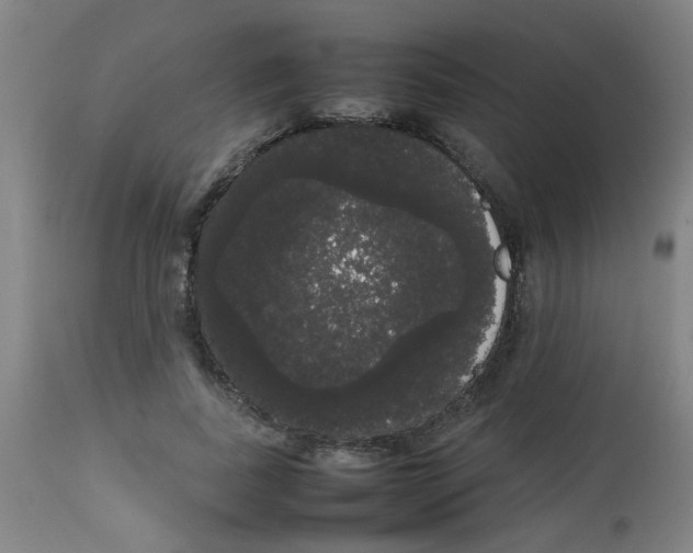 X0000113850739200910221418