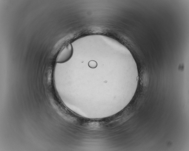 X0000113850740200910221418