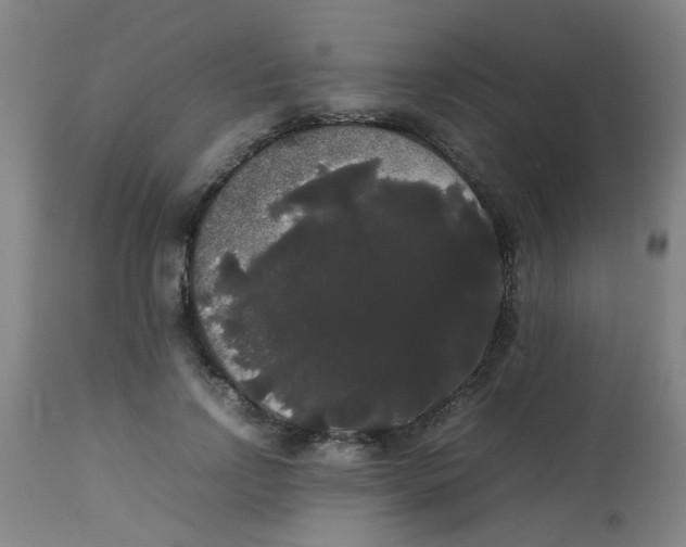 X0000113850742200910221418