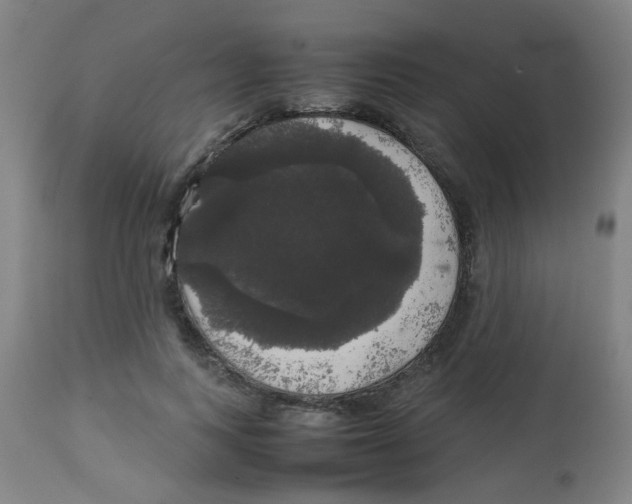 X0000113850743200910221418