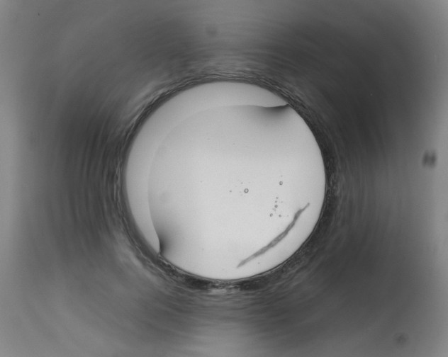 X0000113850744200910221418